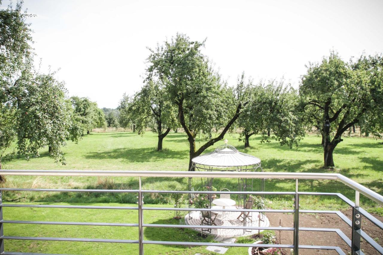 Wunderschoene, Helle 3-Zi-Whg Mit Grossem Balkon Friedrichshafen Bagian luar foto
